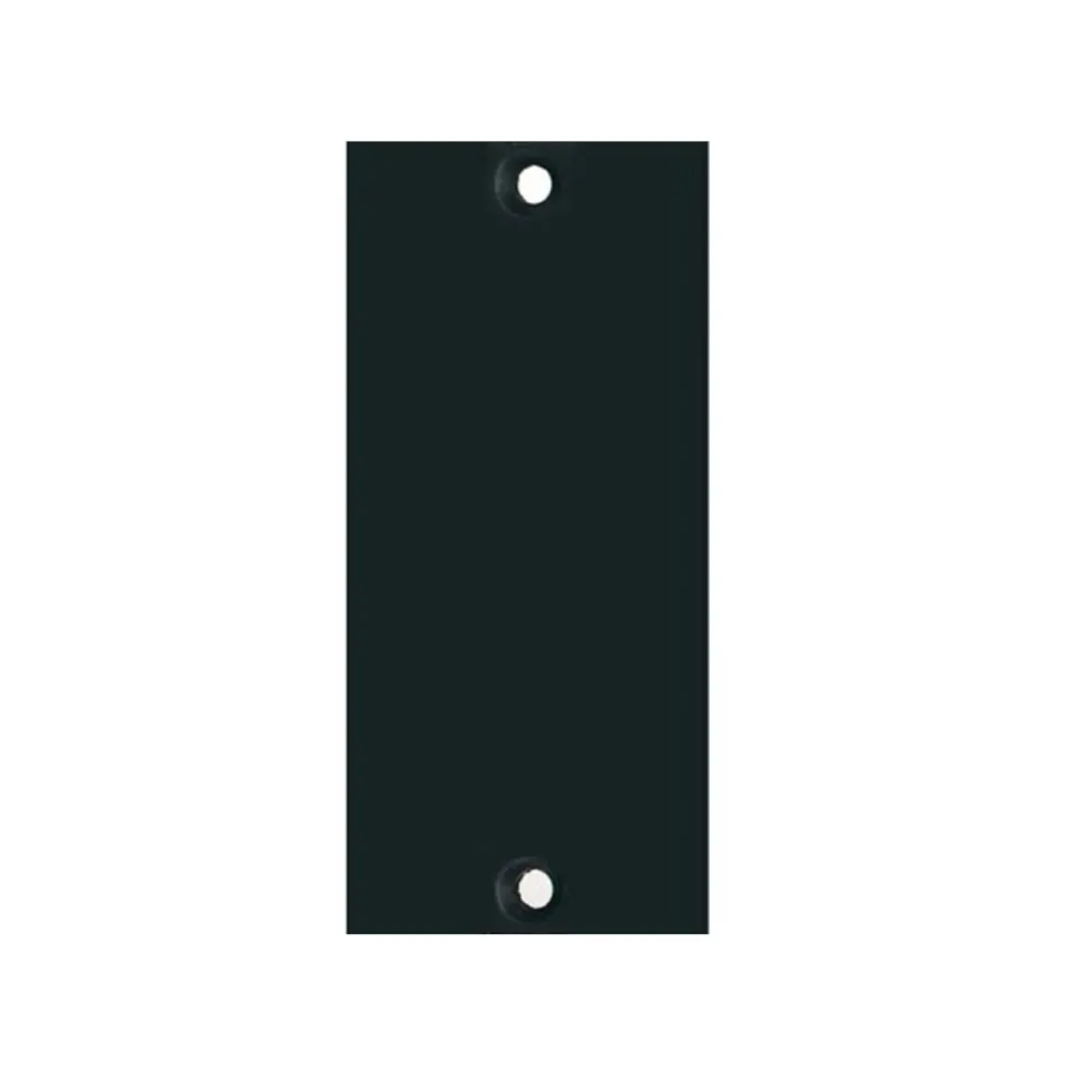 API Audio 2B1 Blindplatte Einzel-Slot Stahl